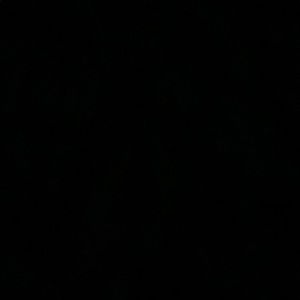 Meet your Posher, Desiree